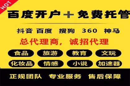 某电商平台的SEM推广实战经验